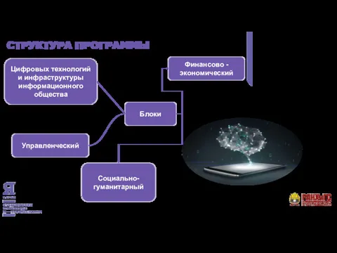 СТРУКТУРА ПРОГРАММЫ Блоки Управленческий Цифровых технологий и инфраструктуры информационного общества Финансово -экономический Социально-гуманитарный