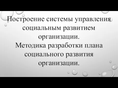 Построение системы управления социальным развитием организации. Методика разработки плана социального развития организации.