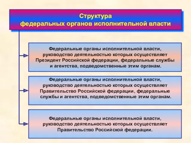 Структура федеральных органов исполнительной власти Федеральные органы исполнительной власти, руководство