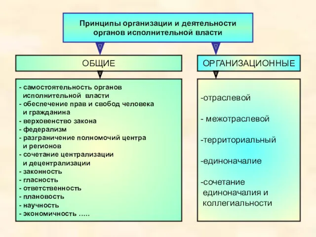 Принципы организации и деятельности органов исполнительной власти ОБЩИЕ ОРГАНИЗАЦИОННЫЕ -