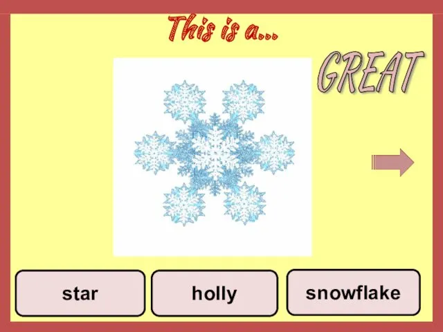 This is a… holly snowflake star GREAT