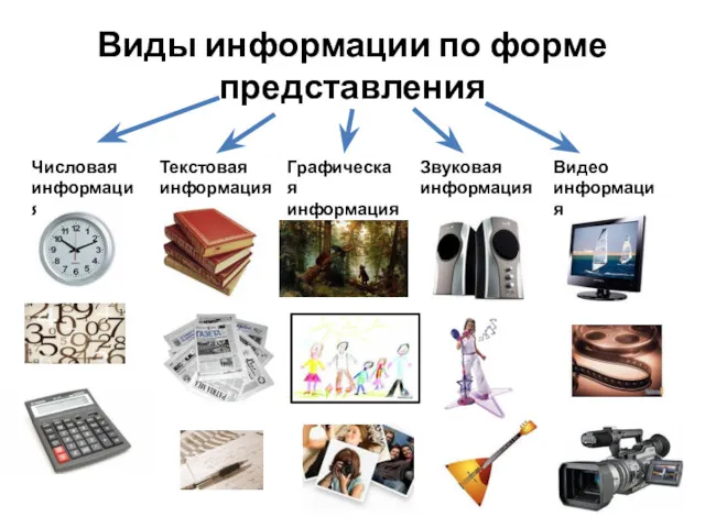 Виды информации по форме представления Числовая информация Текстовая информация Графическая информация Звуковая информация Видео информация