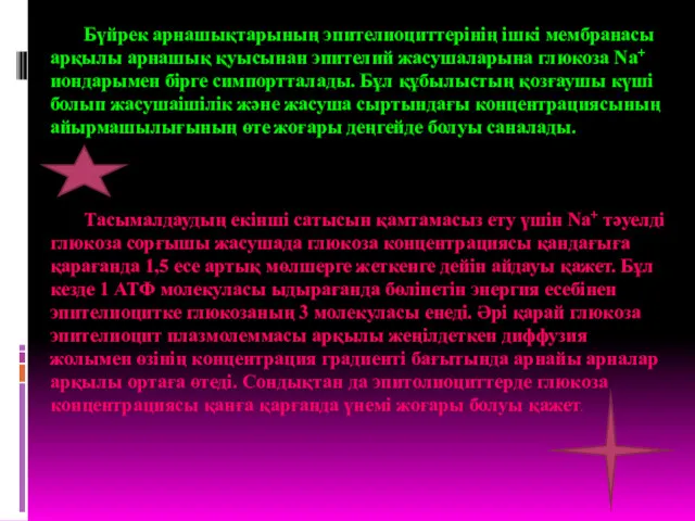 Бүйрек арнашықтарының эпителиоциттерінің ішкі мембранасы арқылы арнашық қуысынан эпителий жасушаларына