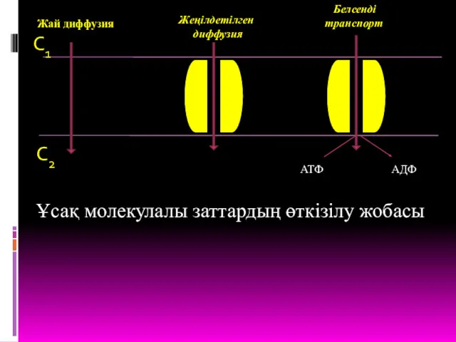 Жай диффузия Жеңілдетілген диффузия Белсенді транспорт С1 С2 АТФ АДФ Ұсақ молекулалы заттардың өткізілу жобасы