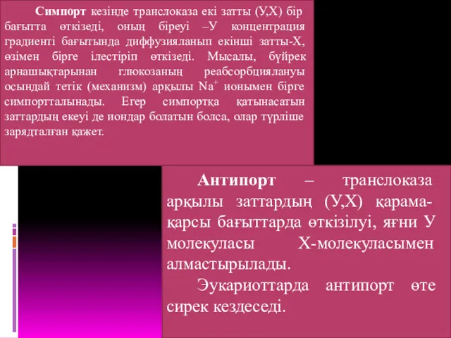 Симпорт кезінде транслоказа екі затты (У,Х) бір бағытта өткізеді, оның