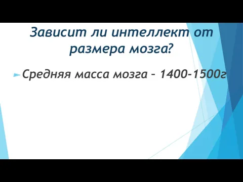 Зависит ли интеллект от размера мозга? Средняя масса мозга – 1400-1500г