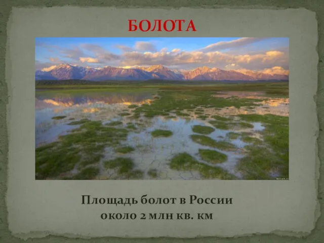 БОЛОТА Площадь болот в России около 2 млн кв. км