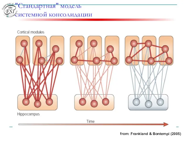"Стандартная" модель системной консолидации from: Frankland & Bontempi (2005)