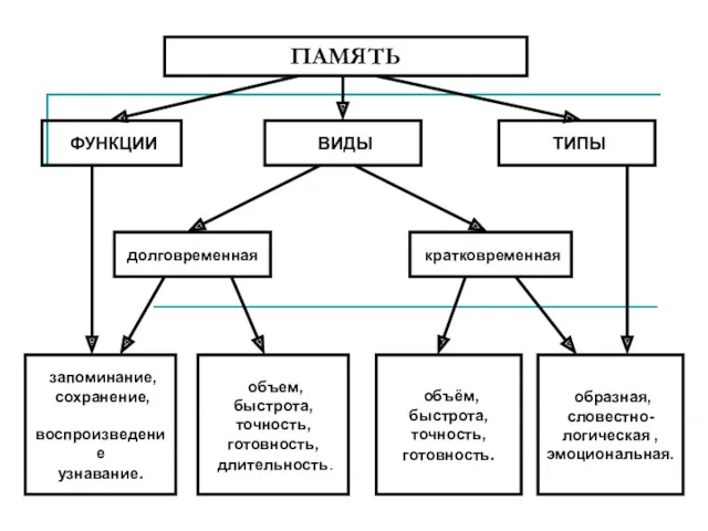 ПАМЯТЬ ФУНКЦИИ ВИДЫ ТИПЫ долговременная кратковременная запоминание, сохранение, воспроизведение узнавание.