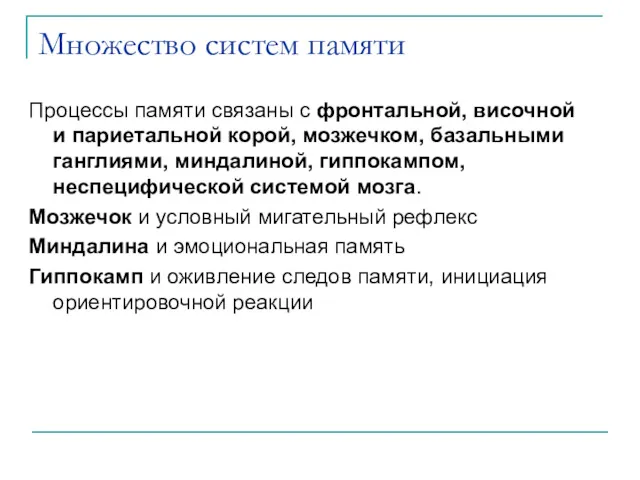 Множество систем памяти Процессы памяти связаны с фронтальной, височной и