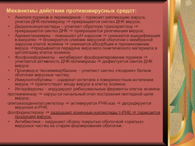 Механизмы действия противовирусных средст: Аналоги пуринов и пиримидинов – тормозят