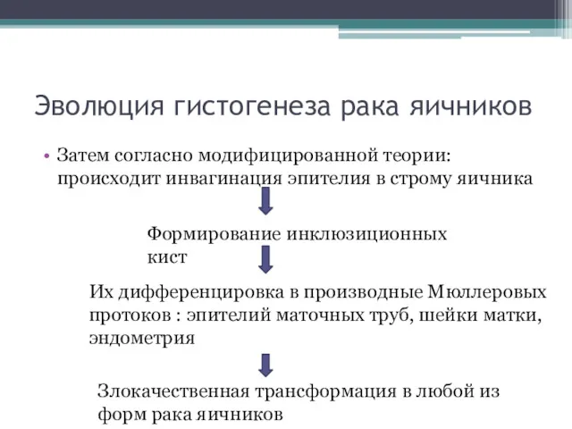 Эволюция гистогенеза рака яичников Затем согласно модифицированной теории: происходит инвагинация