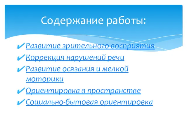 Развитие зрительного восприятия Коррекция нарушений речи Развитие осязания и мелкой