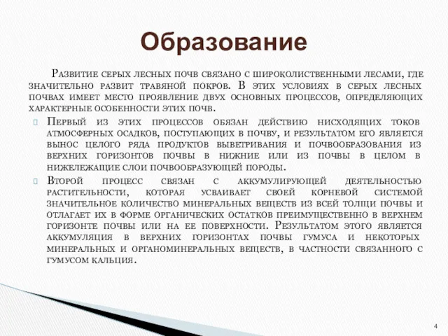 Развитие серых лесных почв связано с широколиственными лесами, где значительно