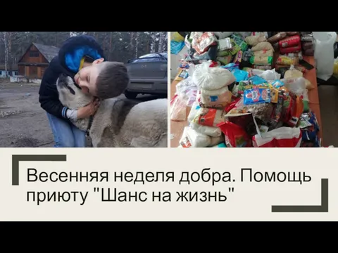 Весенняя неделя добра. Помощь приюту "Шанс на жизнь"