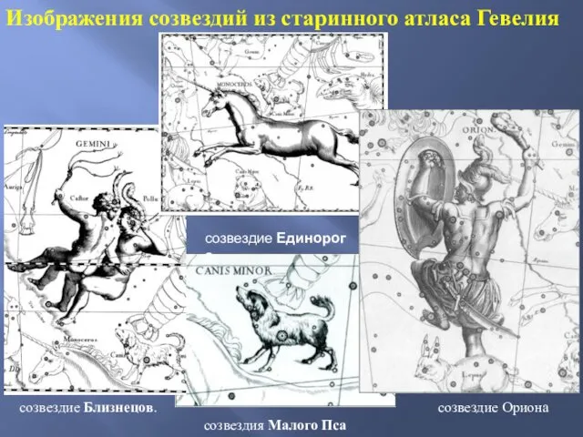 созвездие Ориона созвездия Малого Пса созвездие Близнецов. Изображения созвездий из старинного атласа Гевелия созвездие Единорога.