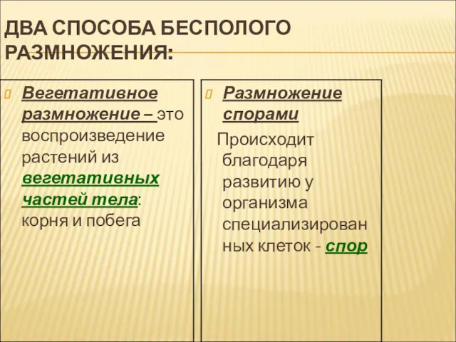 ДВА СПОСОБА БЕСПОЛОГО РАЗМНОЖЕНИЯ: Вегетативное размножение – это воспроизведение растений