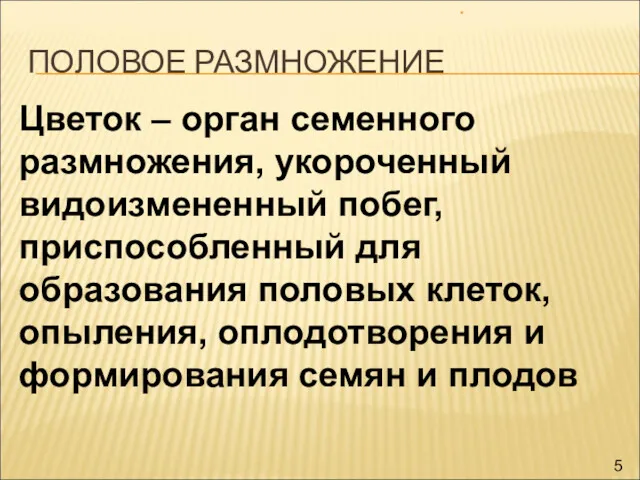 ПОЛОВОЕ РАЗМНОЖЕНИЕ * Цветок – орган семенного размножения, укороченный видоизмененный