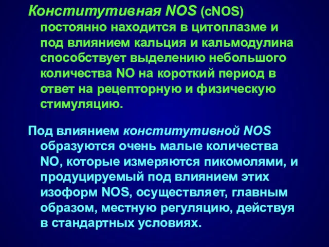 Конститутивная NOS (cNOS) постоянно находится в цитоплазме и под влиянием