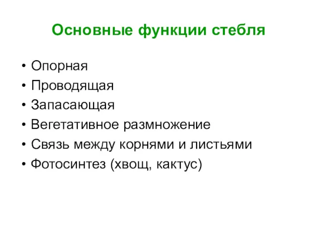 Основные функции стебля Опорная Проводящая Запасающая Вегетативное размножение Связь между корнями и листьями Фотосинтез (хвощ, кактус)