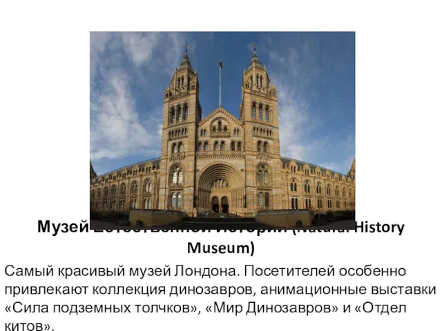 Музей Естественной Истории (Natural History Museum) Самый красивый музей Лондона.