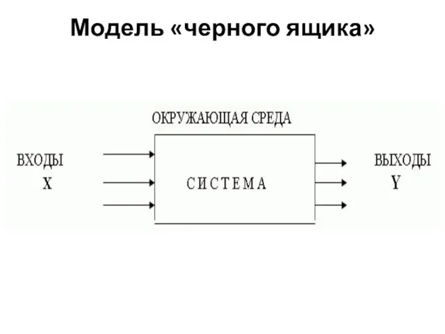 Модель «черного ящика»