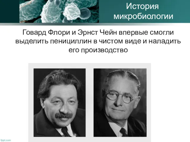 Говард Флори и Эрнст Чейн впервые смогли выделить пенициллин в чистом виде и