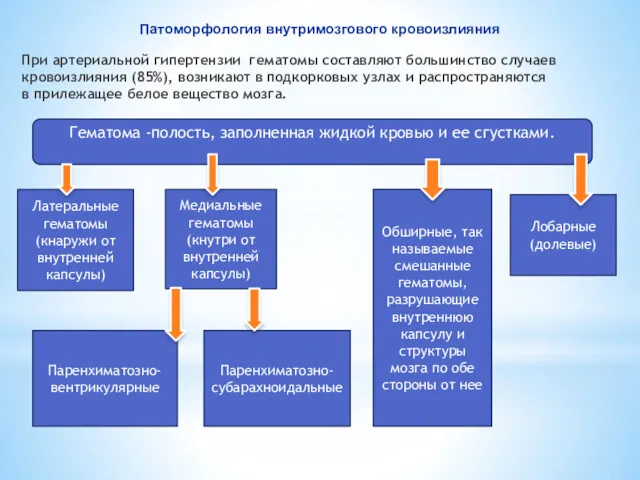 Патоморфология внутримозгового кровоизлияния При артериальной гипертензии гематомы составляют большинство случаев