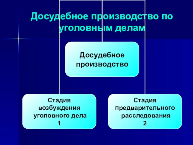 Досудебное производство по уголовным делам