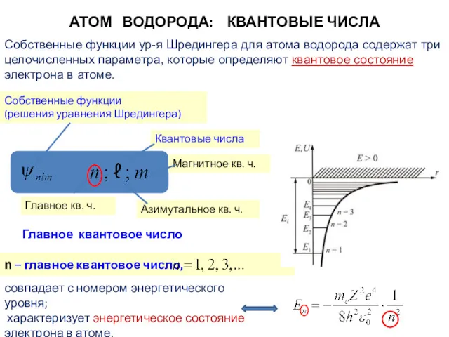 Собственные функции ур-я Шредингера для атома водорода содержат три целочисленных