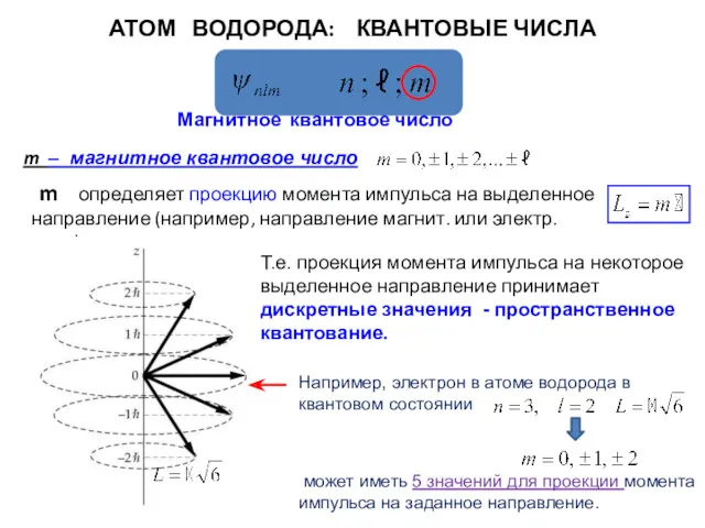 АТОМ ВОДОРОДА: КВАНТОВЫЕ ЧИСЛА Магнитное квантовое число Т.е. проекция момента