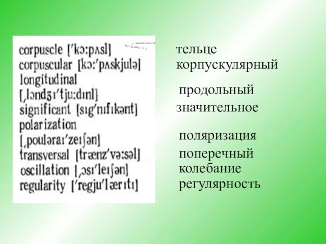 тельце корпускулярный продольный значительное поляризация поперечный колебание регулярность