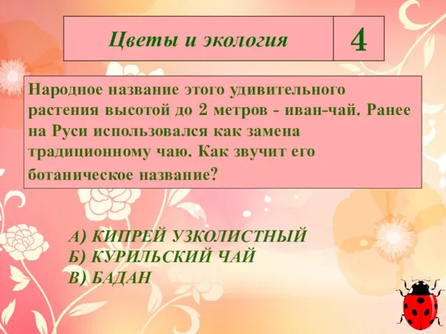 Народное название этого удивительного растения высотой до 2 метров -