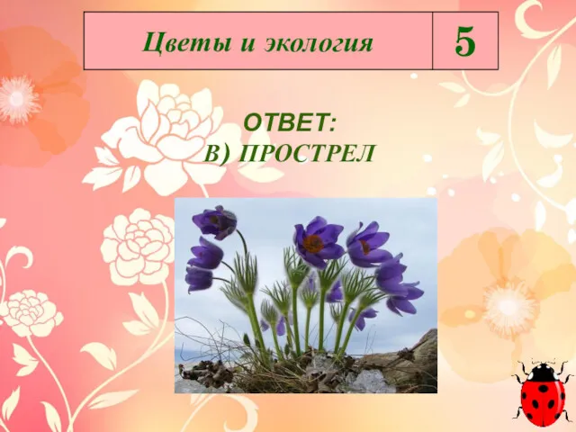 ОТВЕТ: В) ПРОСТРЕЛ