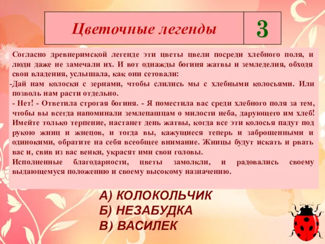 Согласно древнеримской легенде эти цветы цвели посреди хлебного поля, и