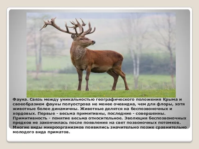 Фауна. Связь между уникальностью географического положения Крыма и своеобразием фауны