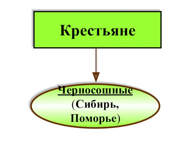 Крестьяне Черносошные (Сибирь, Поморье)