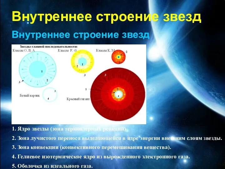 Внутреннее строение звезд Внутреннее строение звезд 1. Ядро звезды (зона термоядерных реакций). 2.