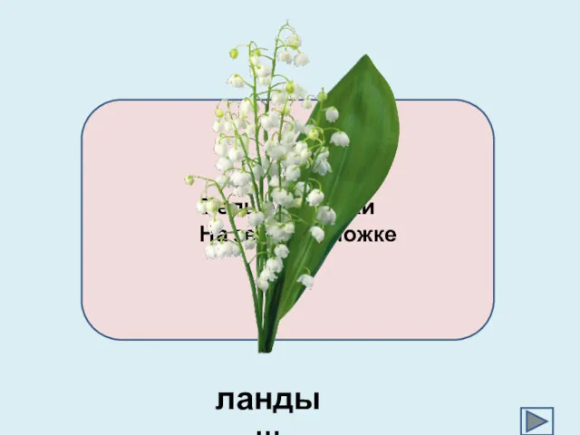 Белые горошки На зеленой ножке ландыш