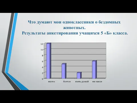 Что думают мои одноклассники о бездомных животных. Результаты анкетирования учащихся 5 «Б» класса.