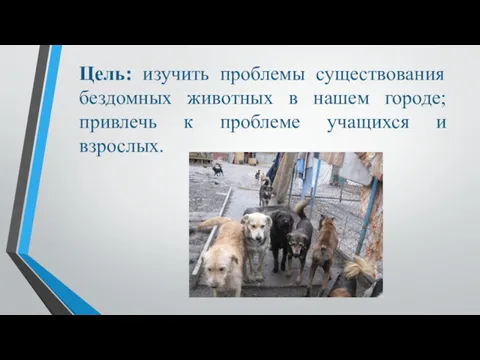 Цель: изучить проблемы существования бездомных животных в нашем городе; привлечь к проблеме учащихся и взрослых.