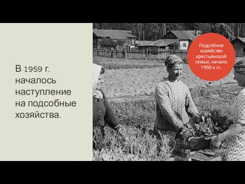 В 1959 г. началось наступление на подсобные хозяйства. Подсобное хозяйство крестьянской семьи, начало 1950-х гг.