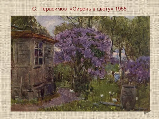 С. Герасимов «Сирень в цвету» 1955