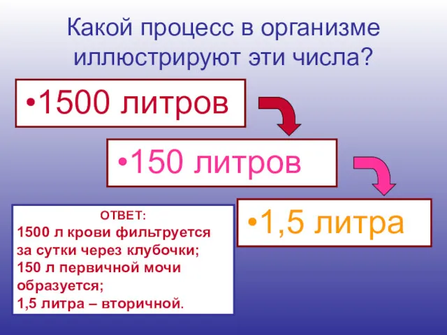 Какой процесс в организме иллюстрируют эти числа? 1500 литров 150