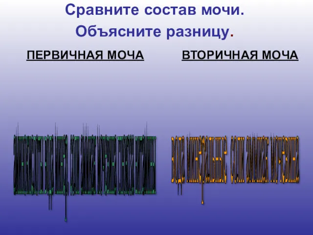 аминокислоты вода минер. соли аммиак мочевина глюкоза витамины вода минеральные