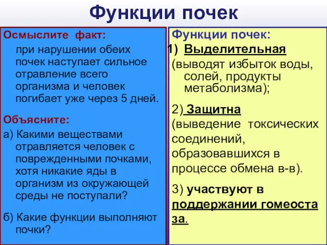 Функции почек Осмыслите факт: при нарушении обеих почек наступает сильное