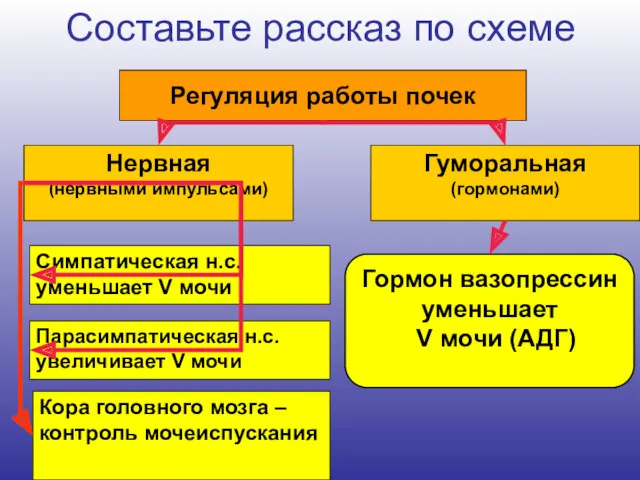 Составьте рассказ по схеме