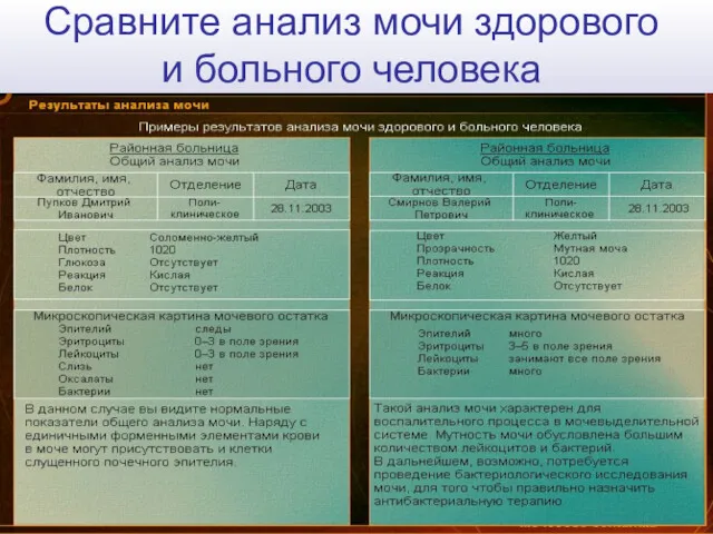 Сравните анализ мочи здорового и больного человека