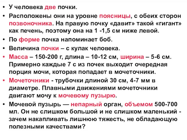 У человека две почки. Расположены они на уровне поясницы, с