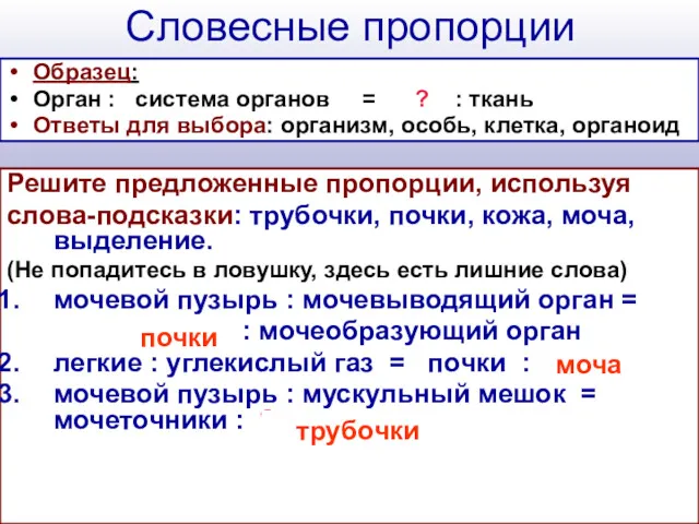 Словесные пропорции Образец: Орган : система органов = ? :